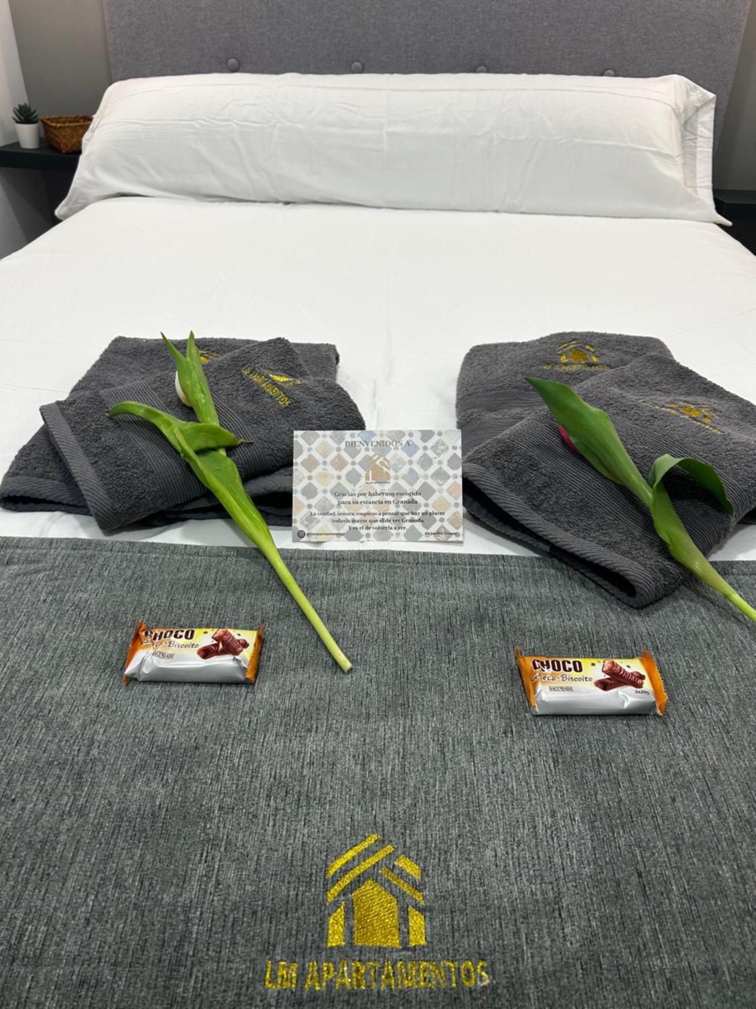 Lm Apartamentos Puentezuelas Γρανάδα Εξωτερικό φωτογραφία